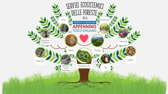 Servizi ecosistemici infografica.pptx (1) Servizi ecosistemici delle foreste