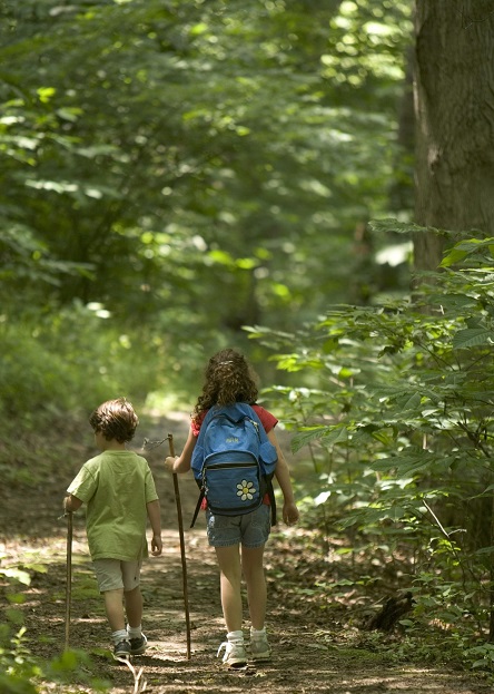 foresta e uomini