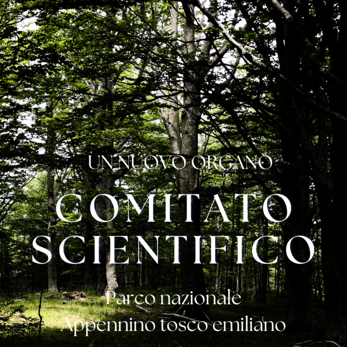 comitato tecnico scientifico