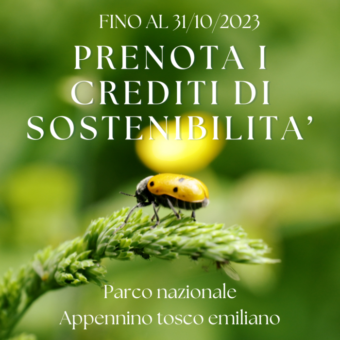 Crediti di Sostenibilita – prenotazioni 2023