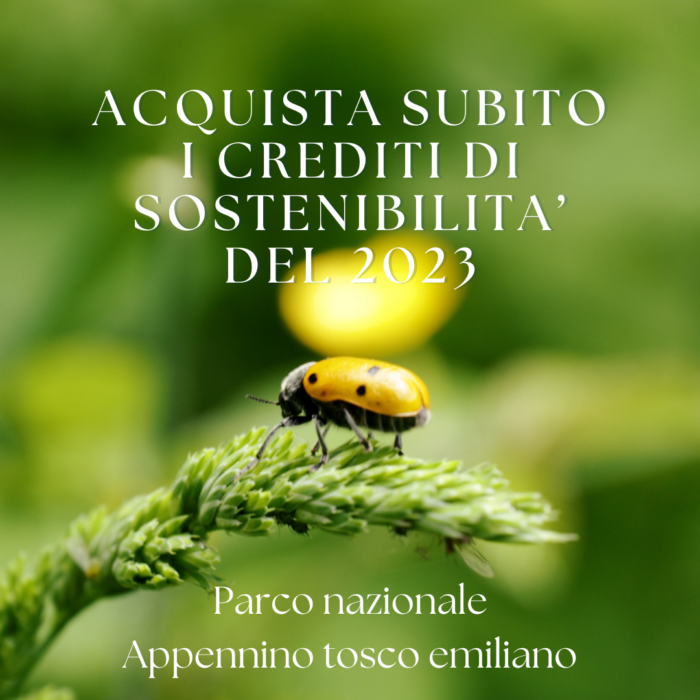 acquista subito i crediti di sostenibilita del 2023 Acquista subito i crediti di sostenibilità del 2023