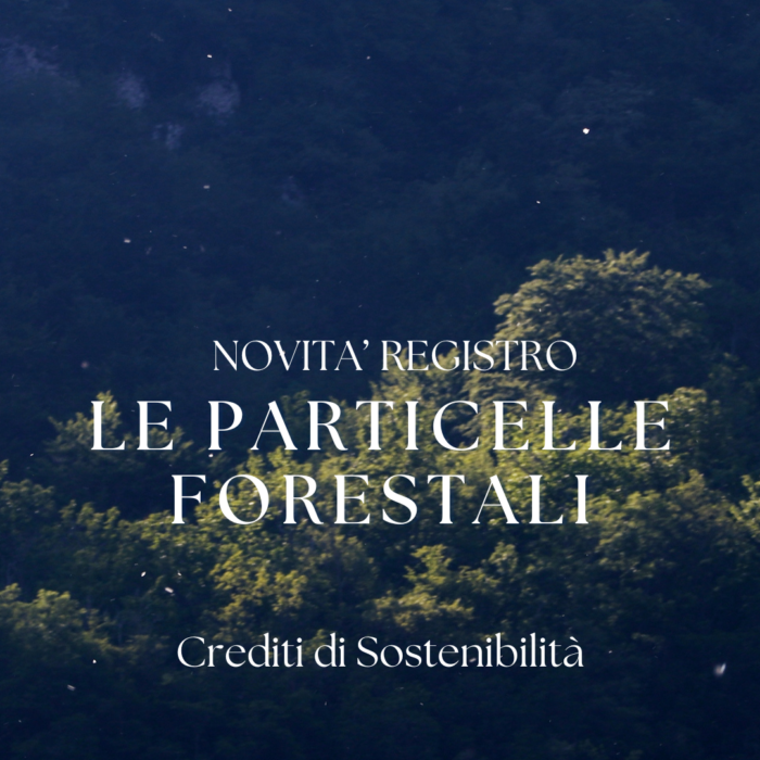 particelle-forestali-registro-crediti-di-sostenibilita